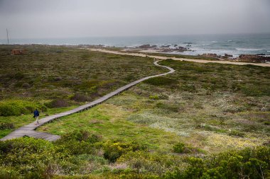 içinde Güney Afrika beach geçit Hint Okyanusu yakın gökyüzü ve kaya çiçek