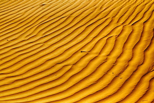 En oman le vieux désert et le vide quartier texture abstraite li — Photo