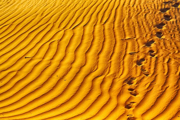 Umman eski çöl ve boş çeyrek soyut doku l