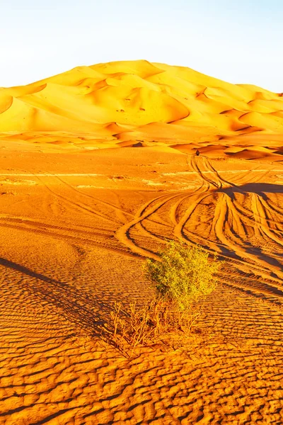 En el viejo desierto de Omán —  Fotos de Stock