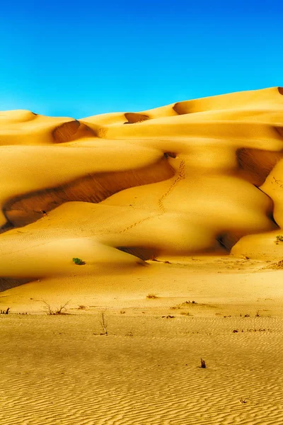 Em oman velho deserto esfregar al khali o quarto vazio e ao ar livre — Fotografia de Stock