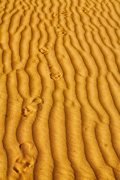 En oman el desierto viejo y el cuarto vacío textura abstracta l —  Fotos de Stock