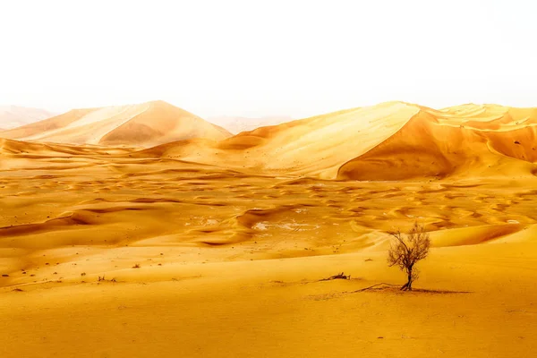 In oman vecchio deserto strofinare al khali il quartiere vuoto e all'aperto — Foto Stock