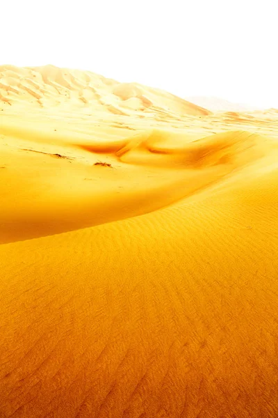 In oman vecchio deserto strofinare al khali il quartiere vuoto e all'aperto — Foto Stock