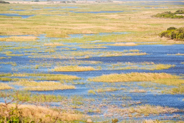 En Afrique du Sud étang lac réserve naturelle et buisson — Photo