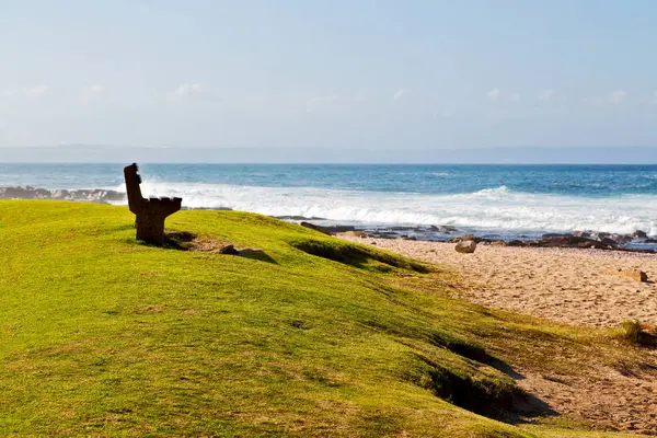 In south africa    sky  ocean       reserve — Stock Photo, Image