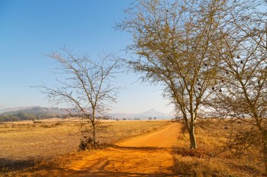   Svaziland yaban hayatı doğa rezerv 