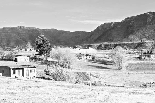 In lesotho  street village near  mountain — Stock Photo, Image