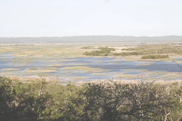 En Afrique du Sud étang lac réserve naturelle et buisson — Photo