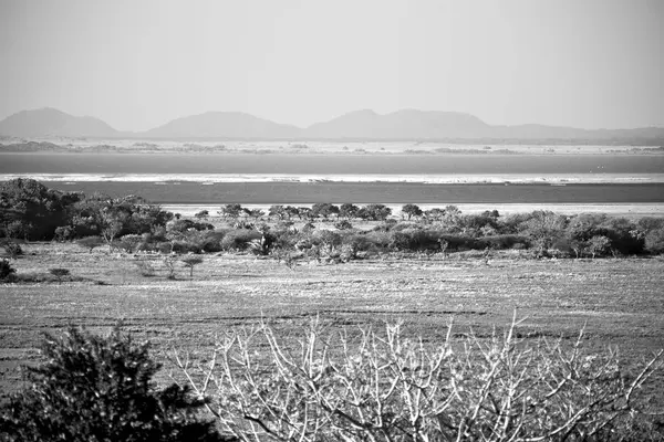 Rezerwat przyrody Jezioro staw RPA i bush — Zdjęcie stockowe