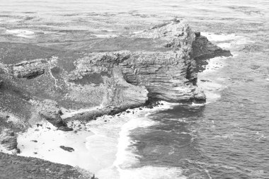   Güney Afrika kıyı şeridi ve doğal park rezerv