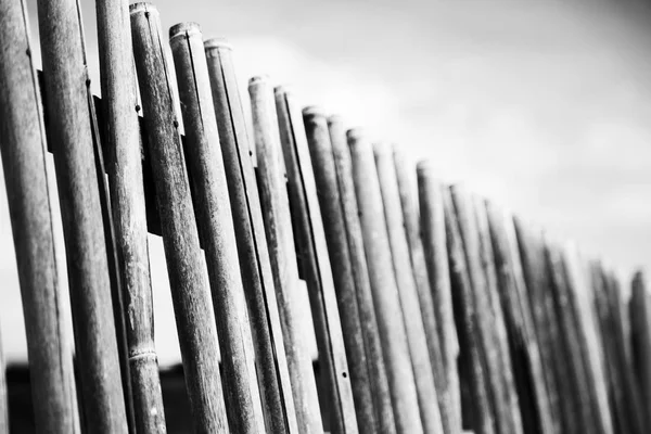 En un cielo nublado lotes palo de bambú para valla natural —  Fotos de Stock