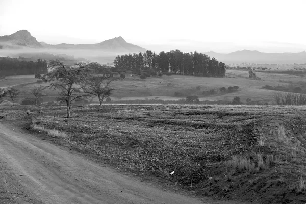 Svaziland mlilwane yaban hayatı doğa rezerv dağ ve ağaç bulanıklığı