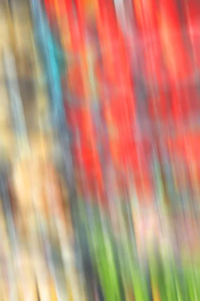 Soyut renkler ve bulanık arkaplan — Stok fotoğraf