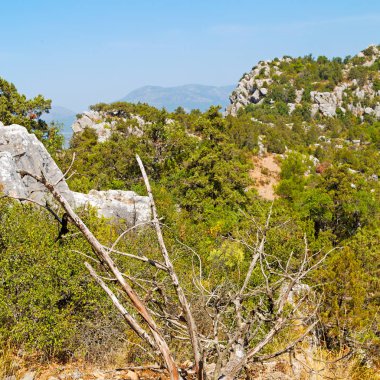 Anadolu Hill Asya Türkiye termessos eski mimari ve doğa 