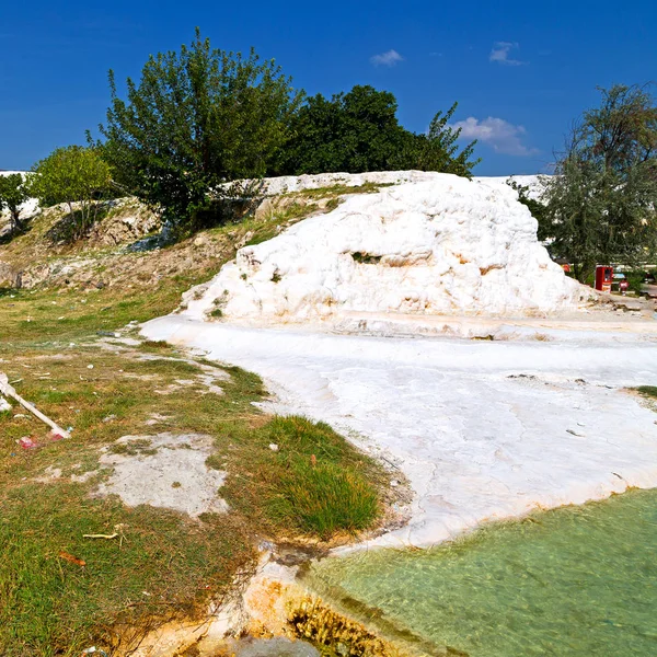 Albero unico astratto in pamukkale tacchino asia il vecchio calciu — Foto Stock