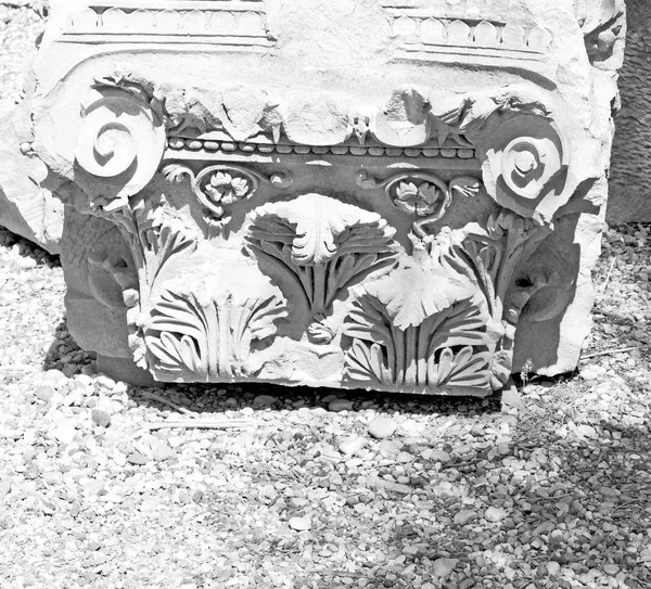 Bush kapı myra içinde eski sütun taş yapılar bir — Stok fotoğraf