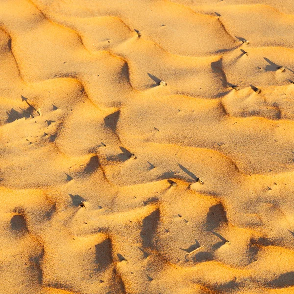 En oman el desierto viejo y el cuarto vacío textura abstracta l —  Fotos de Stock