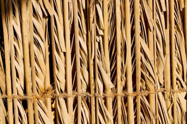 in oman abstract   wall background