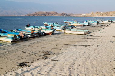 kıyı şeridi ve martı Okyanusu yakınlarındaki Umman tekne