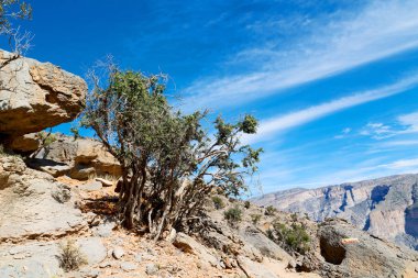 Umman kanyonda derin bulutlu   