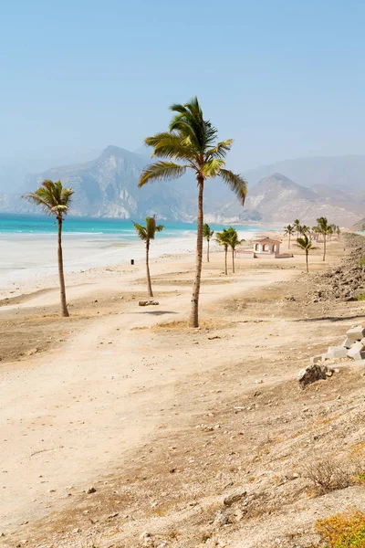 In oman Arabische Zee palm de heuvel in de buurt van zandstrand hemel en moun — Stockfoto