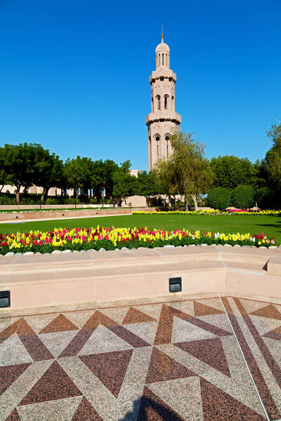 В старом мускате
 