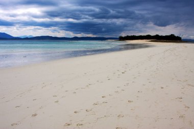 mavi lagün sakin ve bush  