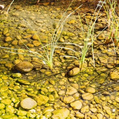 Umman eski nehir ve taş 