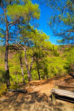 Lombardy in Arsago seprio  