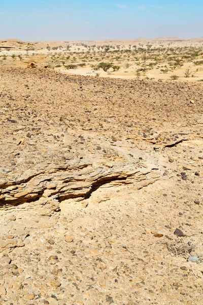 En el viejo desierto de Omán — Foto de Stock