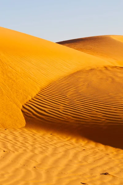 In oman old desert  rub al khali the empty  quarter and outdoor — Stock Photo, Image