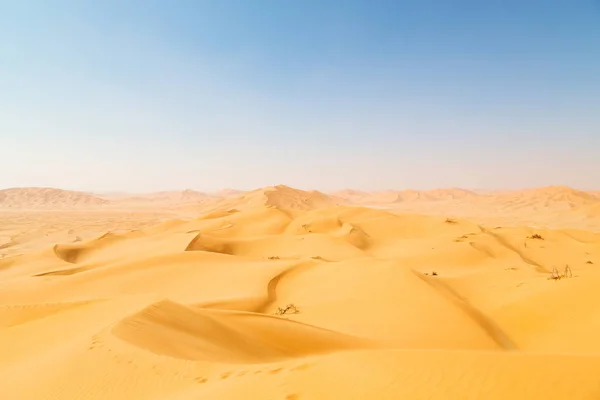 En una vieja duna del desierto — Foto de Stock