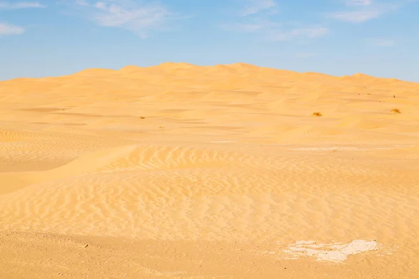 En una vieja duna de arena del desierto —  Fotos de Stock