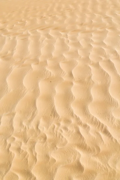 En Oman el viejo desierto —  Fotos de Stock