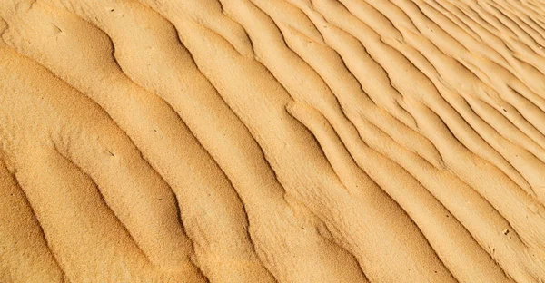 In oman the old desert and the empty quarter abstract  texture l — Stock Photo, Image