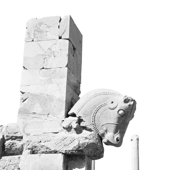 Em iran persepolis — Fotografia de Stock