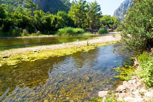 Vicino al fiume e alla natura — Foto Stock