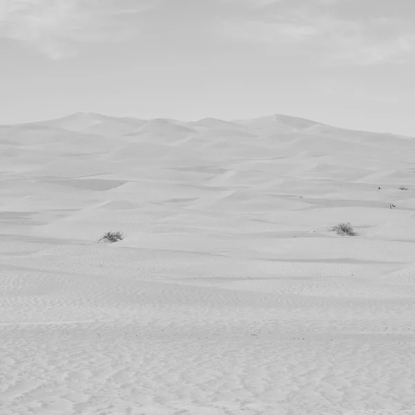 En oman viejo desierto frotar al khali el cuarto vacío y al aire libre —  Fotos de Stock