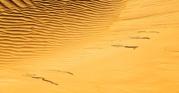 Umman eski çöl ve boş çeyrek soyut doku l