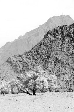 Umman eski dağ gorge ve kanyon derin bulutlu gökyüzü 