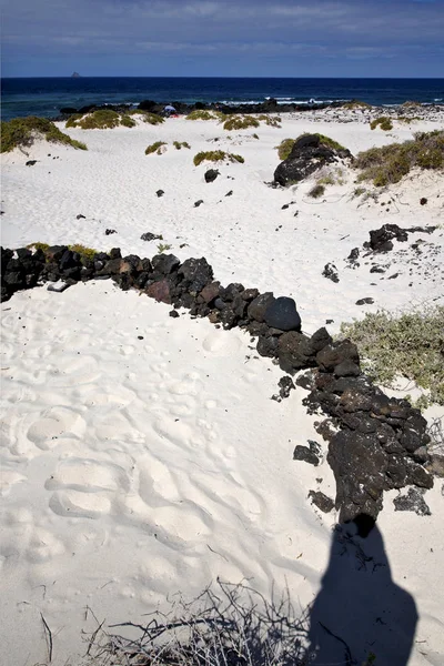 Spanien Insel Weißer Strand Pflanze Schwarze Felsen Auf Lanzarote — Stockfoto