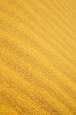 Sahara Fas çölündeki kahverengi kum tepeciği. 