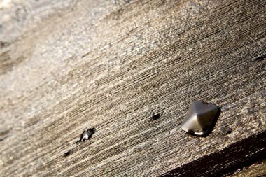  capronno İtalya lombardy kapalı 