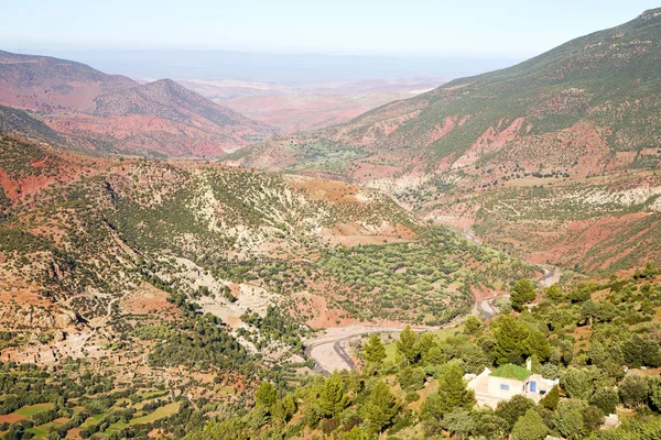 Dades Valle Atlas Moroco Africa Árbol Tierra Nadie — Foto de Stock