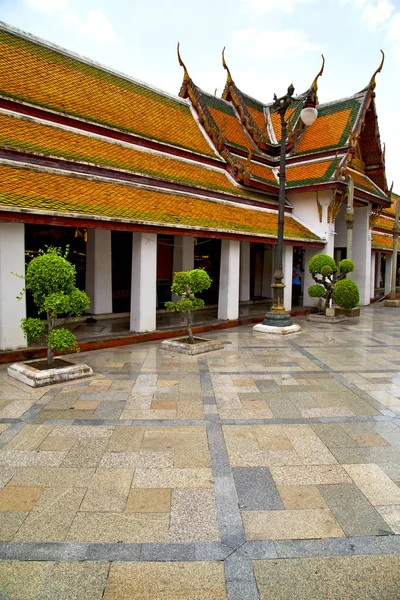 Gold    temple   bangkok plant pavement — Stock Photo, Image