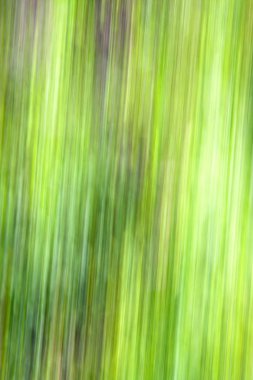 yeşil renkli hızlı  