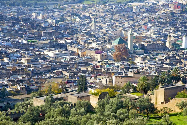 Dall'alto nelle costruzioni di minareto di villaggio — Foto Stock