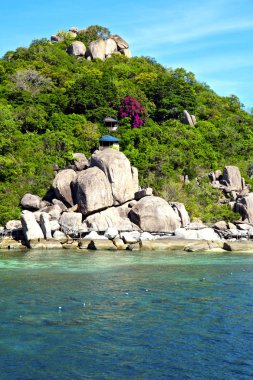  Kho tao bay soyut su Güney Çin Denizi