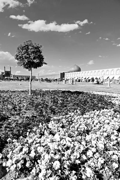 In iran   the old  square — Stock Photo, Image